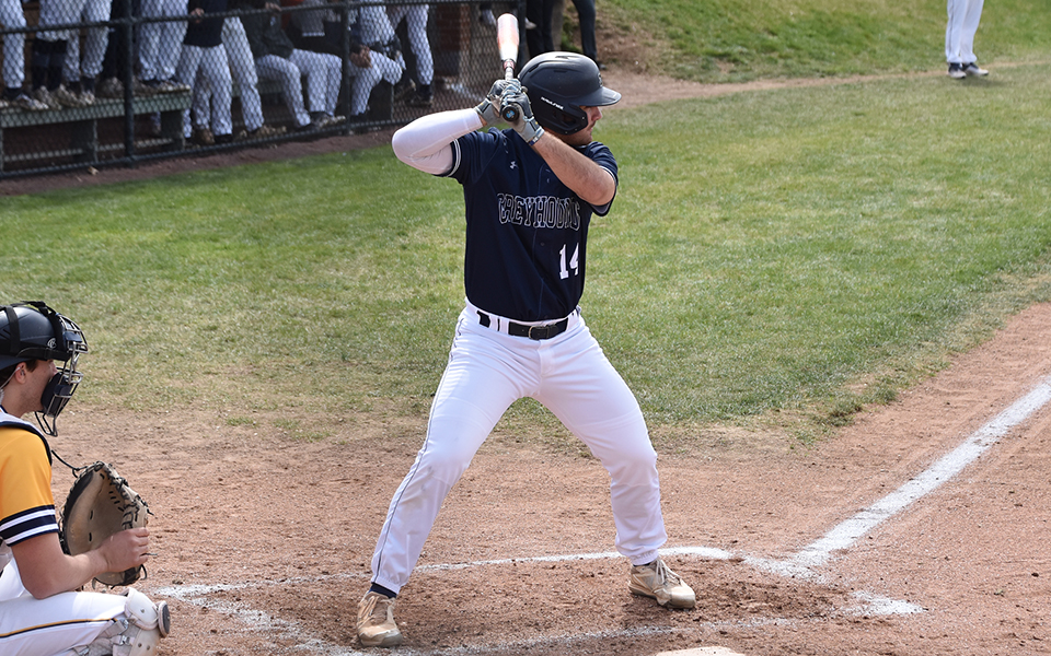 Junior right fielder Nick Henry in the batter's box versus Lycoming College at Gillespie Field. Photo by Christine Fox
