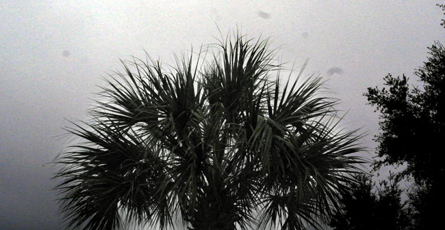 UPDATE: Florida Storm Forces Schedule Changes