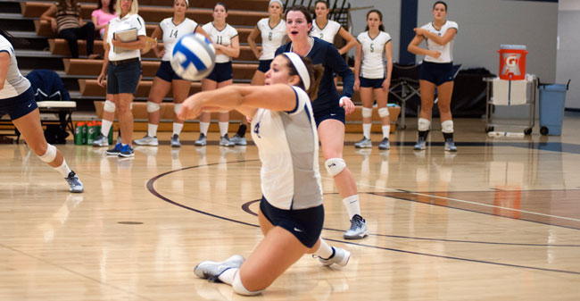 Women's Volleyball Drops Two at Landmark Round Robin