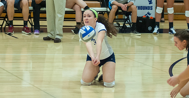 Volleyball Clinches Playoff Berth with Pair of Landmark Wins