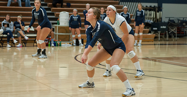 Women's Volleyball Set to Host 14th Annual Greyhound Premiere to Start 2016 Slate