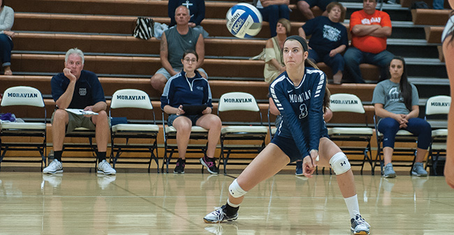 Hounds Sweep Bryn Mawr in Non-Conference Action