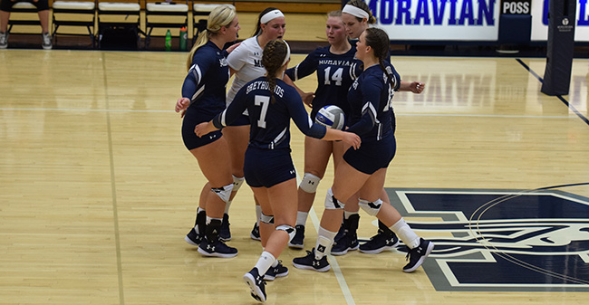 The Greyhounds celebrate a point win in a match versus Wilkes University.