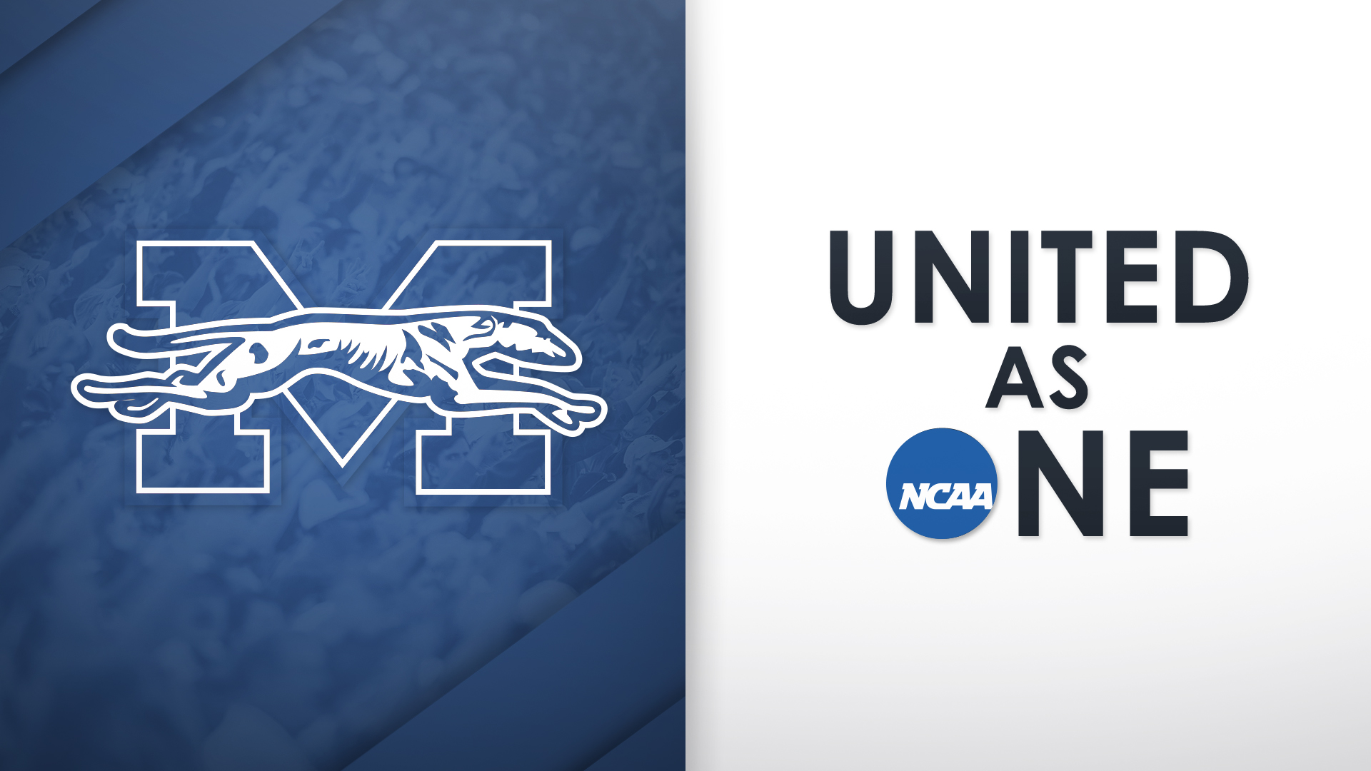 Greyhounds United as One with NCAA