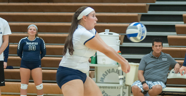 Three Hounds Hit Milestones as Volleyball Sweeps Wilkes Tri-Match