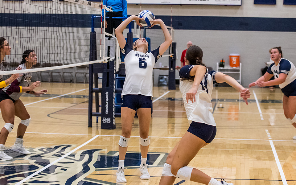 Junior setter Ally Plitnick sets the ball versus Alvernia University in the Greyhound Premiere Invitational this season in Johnston Hall. Photo by Cosmic Fox Media / Matthew Levine '11