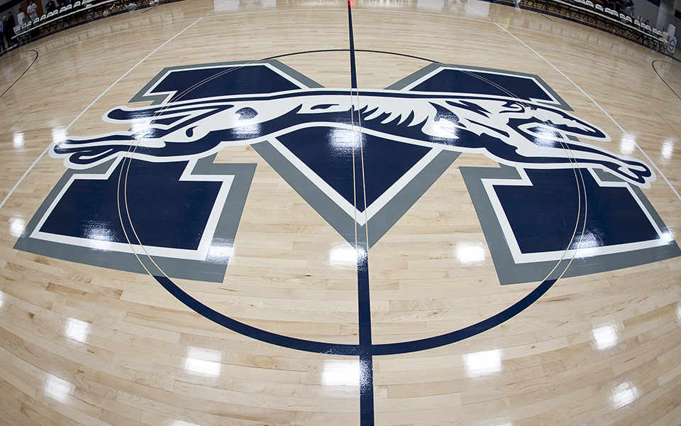 The Greyhounds' logo at center court in Johnston Hall. Photo by Image by Hugo / Brent Hugo