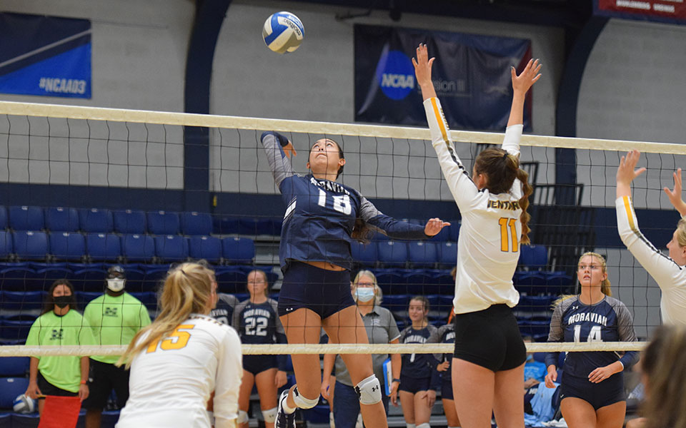 Senior Renee Mapa goes up for an attack attempt versus Wentworth Institute of Technology in Johnston Hall on September 5.