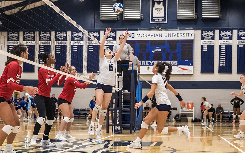 Sophomore setter Ally Plitnick puts up a ball for senior middle blocker Autumn Marerro in a match versus Montclair State University during the 20th Greyhound Premiere Invitational in Johnston Hall this season. Photo by Cosmic Fox Media / Matthew Levine '11